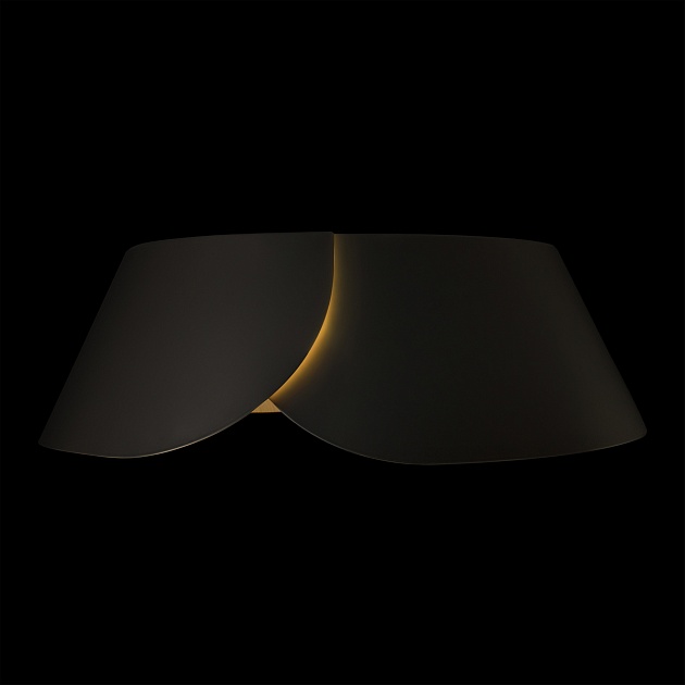 Потолочный светильник LOFT IT Lane 10370 Black Фото № 3