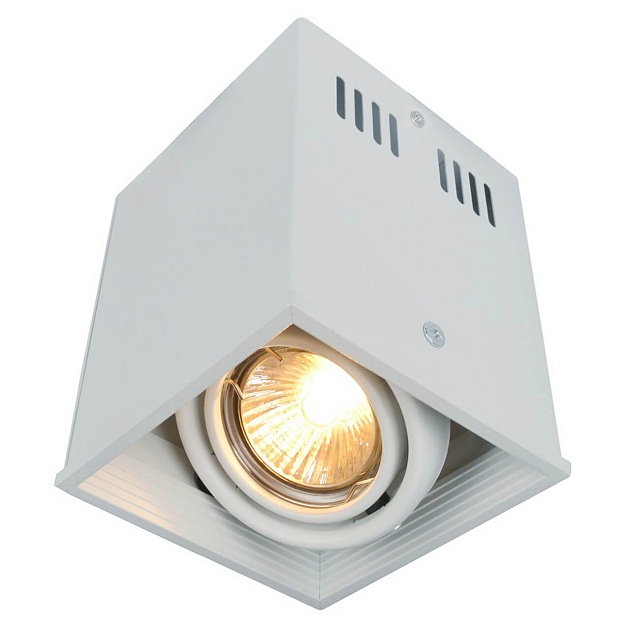 Потолочный светильник Arte Lamp Cardani A5942PL-1WH Фото № 1