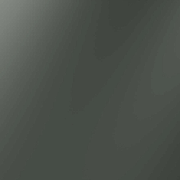 Заглушка Voltum S70 с суппортом, (титан) VLS080106 Фото № 1