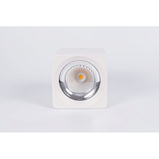 Потолочный светодиодный светильник Fiberli CH-SD220-1 12120101 4