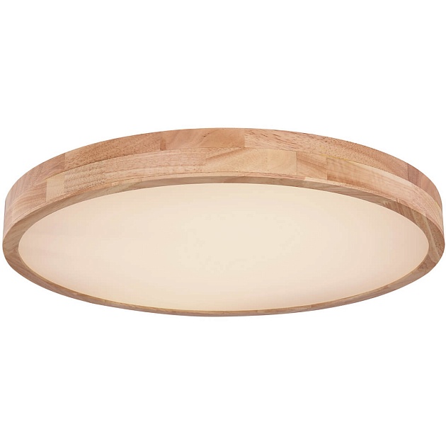 Потолочный светодиодный светильник Globo Rainer 41745-48 изображение 1 Потолочный светодиодный светильник Globo Rainer 41745-48 Фото № 1