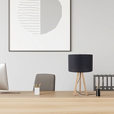 Настольная лампа TK Lighting 5293 Tokyo 1