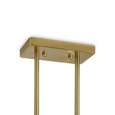 Подвесная люстра Freya Firefly FR5427PL-04BS 1