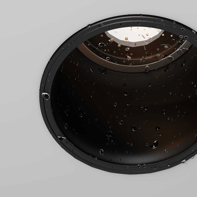 Потолочный светильник Maytoni Outdoor O501DL-L10B3K изображение 3 Потолочный светильник Maytoni Outdoor O501DL-L10B3K Фото № 3