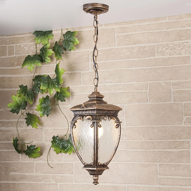 Уличный подвесной светильник Elektrostandard Andromeda H (GLYF-8024H) a027997 Фото № 1