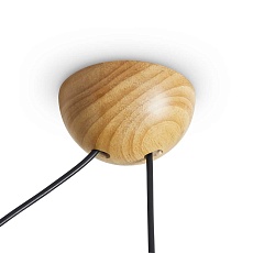 Потолочный светильник Freya Modern FR5554CL-01T 3