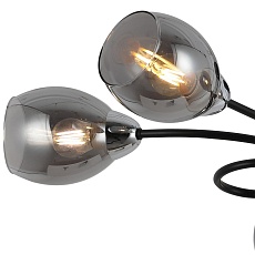 Потолочная люстра Illumico IL8263-6COU-79 BK CR 2