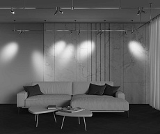 Трековый светильник Maytoni Technical TR144-1-5W3K-W-PT 1