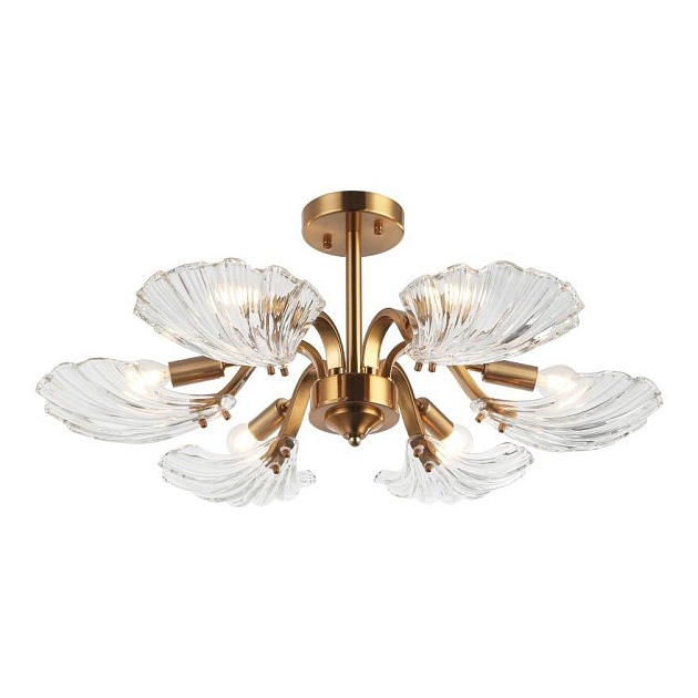 Потолочная люстра Stilfort Muschel 2153/05/06P Фото № 1