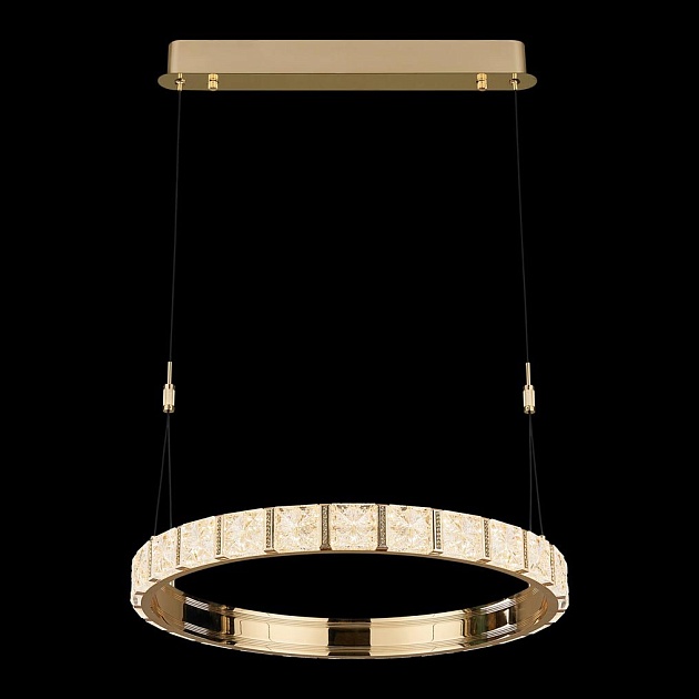 Подвесная светодиодная люстра Wertmark Vera WE458.01.323 Фото № 1