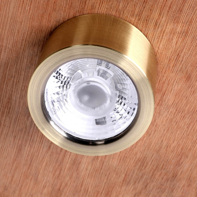 Потолочный светодиодный светильник Favourite Deorsum 2806-1U изображение 4 Потолочный светодиодный светильник Favourite Deorsum 2806-1U Фото № 4