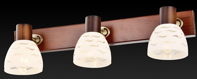 Спот Toplight Shayla TL3730Y-03BB Фото № 3