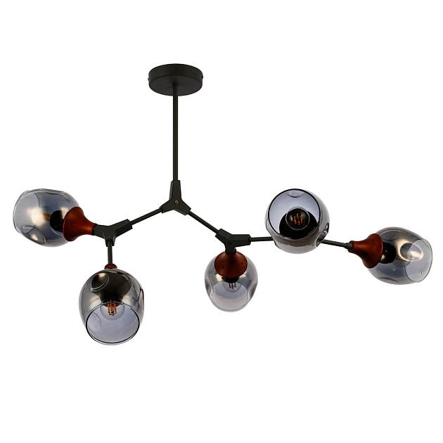 Потолочная люстра Evoluce Ciotolla SLE113402-05 изображение 1 Потолочная люстра Evoluce Ciotolla SLE113402-05 Фото № 1