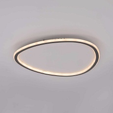 Потолочный светодиодный светильник Citilux Trio CL215B251E 5