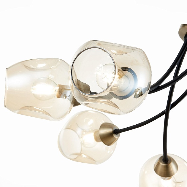 Потолочная люстра Evoluce Besano SLE205302-06 Фото № 3