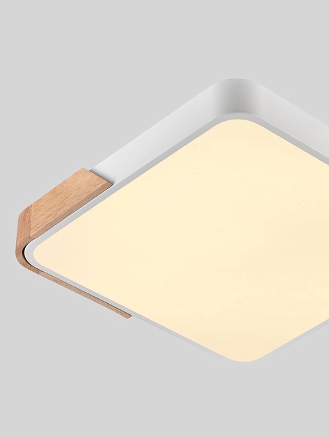 Потолочный светодиодный светильник Natali Kovaltseva LED LAMPS 81410 Фото № 3