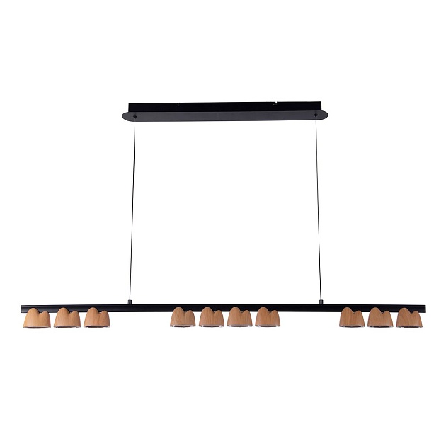 Подвесная светодиодная люстра Favourite Interline 4266-10P Фото № 1