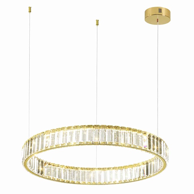 Подвесной светодиодный светильник Odeon Light Vekia 5015/36L Фото № 3