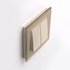 Выключатель двухклавишный с подсветкой Werkel шампань W1120111 4690389157097 1