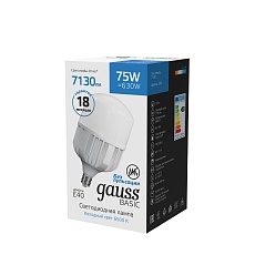 Лампа светодиодная сверхмощная Gauss E40 75W 6500К матовая 11734382 2