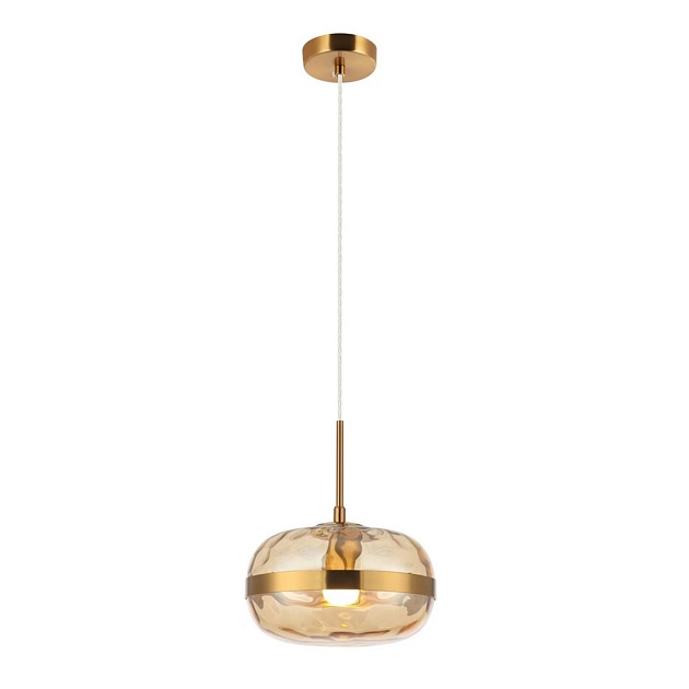 Подвесной светильник Aployt Gabriela APL.305.16.01 Фото № 1