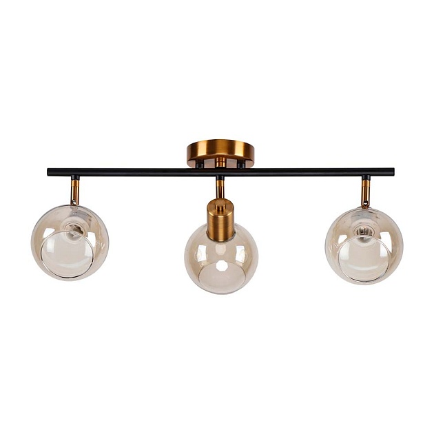 Спот ЭкономСвет 20783/3GD+BK BR Фото № 1