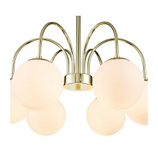 Потолочная люстра Indigo VOGA 13017/6R Gold V000325 1