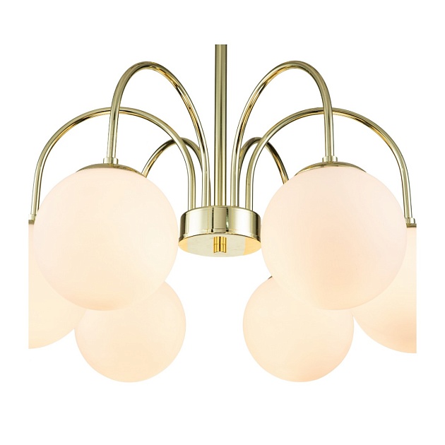 Потолочная люстра Indigo VOGA 13017/6R Gold V000325 изображение 2 Потолочная люстра Indigo VOGA 13017/6R Gold V000325 Фото № 2