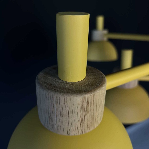 Подвесная люстра Imperium Loft Fanta 101568-26 Фото № 12