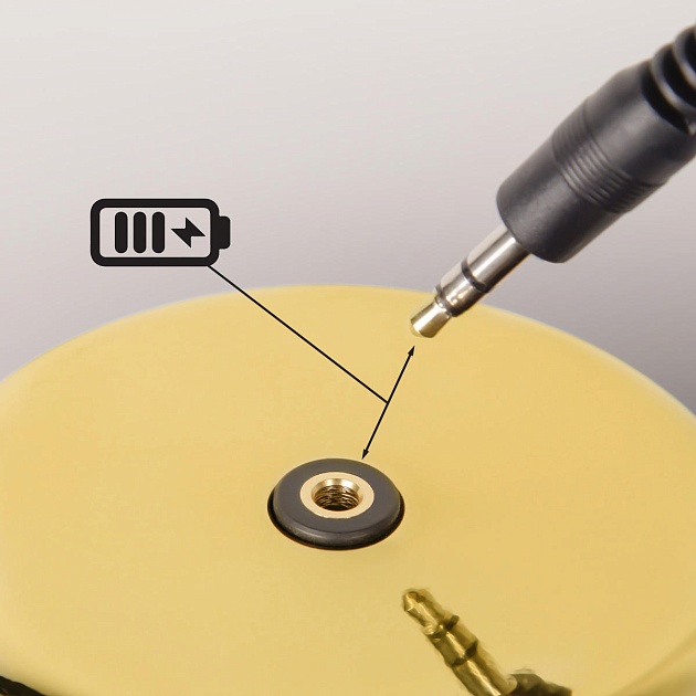 Настольная лампа Loft IT Brothers 10233/D Gold Фото № 3