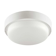 Накладной светодиодный светильник WOLTA LCL04-8W-R21-4K-SM