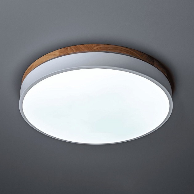 Потолочный светодиодный светильник Ritter Snello 51623 5 Фото № 5