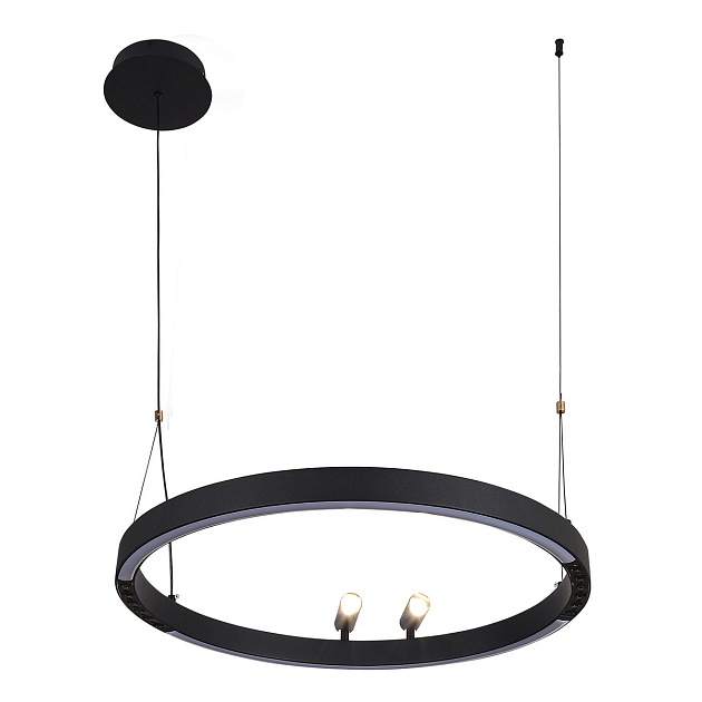 Подвесная светодиодная люстра F-Promo Slinga 4474-1P изображение 8 Подвесная светодиодная люстра F-Promo Slinga 4474-1P Фото № 8