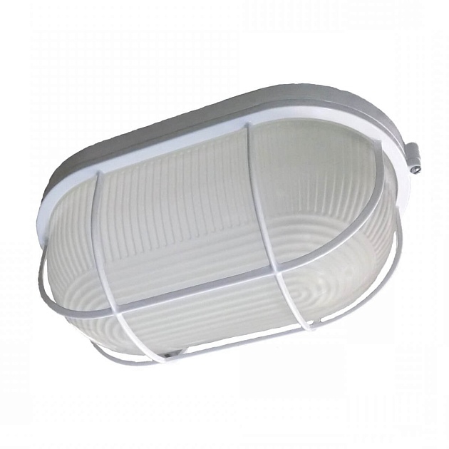 Настенно-потолочный светильник ЭРА НБП 04-100-002 Б0048426 изображение 1 Настенно-потолочный светильник ЭРА НБП 04-100-002 Б0048426 Фото № 1