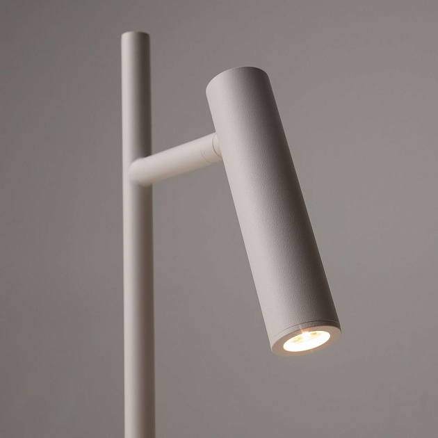 Торшер Maytoni Estudo Z010FL-L8W3K Фото № 6