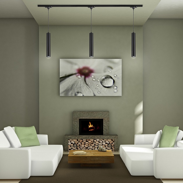 Трековый однофазный светильник Novotech Port Pipe 370401 Фото № 2