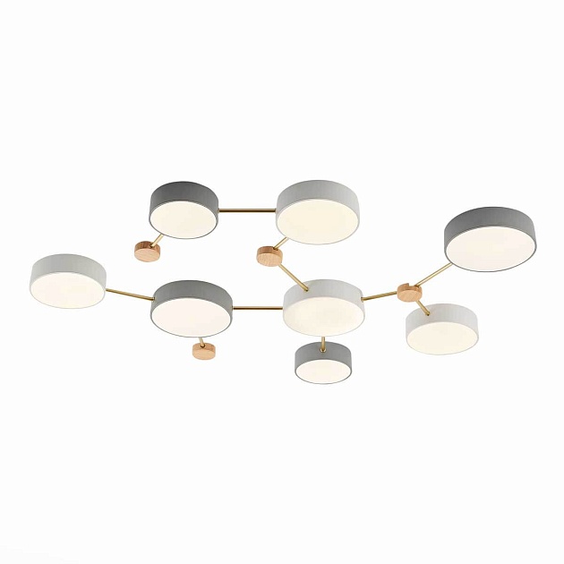 Потолочный светильник Evoluce DOSSENA SLE600102-08 Фото № 1