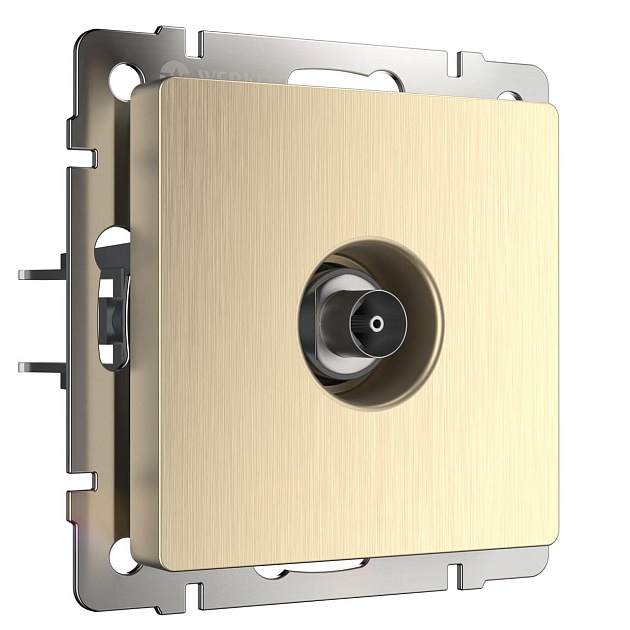 ТВ-розетка оконечная Werkel шампань рифленый W1183010 4690389160639 Фото № 1