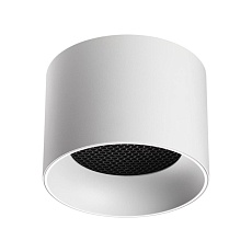 Светильник накладной Novotech GEMINI 371009