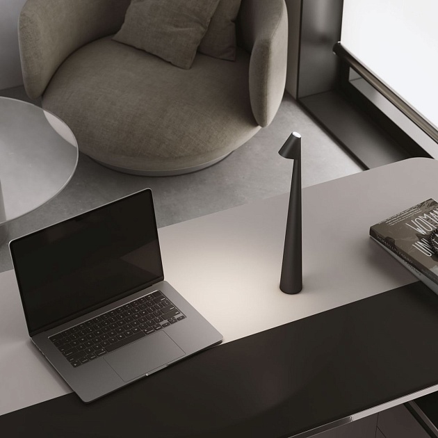 Настольная лампа Elektrostandard Elite TL70250 a068070 Фото № 5