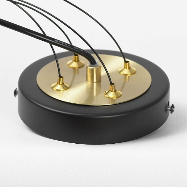 Подвесная люстра Lussole Linn LSP-8906 Фото № 3