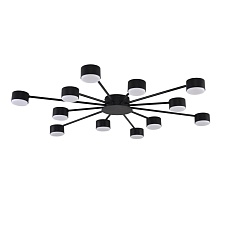 Люстра Lumion COMFI 8344/12C