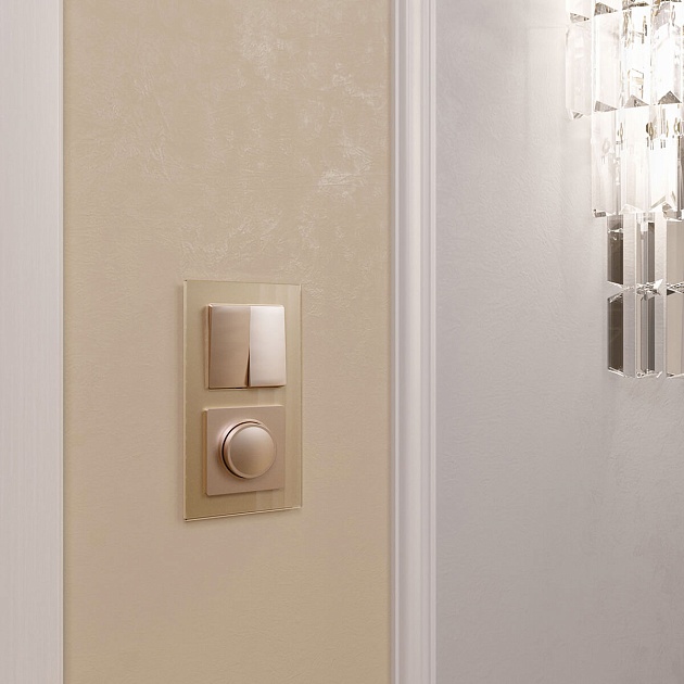 Выключатель двухклавишный Werkel шампань W1120011 4690389157134 изображение 5 Выключатель двухклавишный Werkel шампань W1120011 4690389157134 Фото № 5