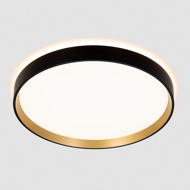 Светильник с пультом Citilux ETALON CL750321R Фото № 19