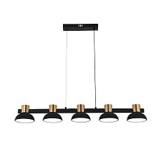 Подвесная светодиодная люстра Indigo Traforo 11059/5PL Black V000184L 3