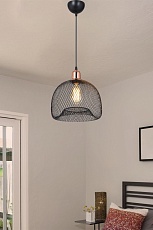 Подвесной светильник Toplight Bryanne TL1603H-01BK 2