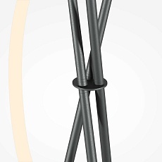 Напольный светильник (торшер) Maytoni MOD369FL-L36B3K 4