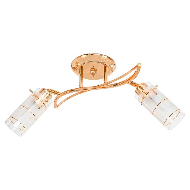 Потолочный светильник ЭкономСвет 11187/2FG WT Фото № 1