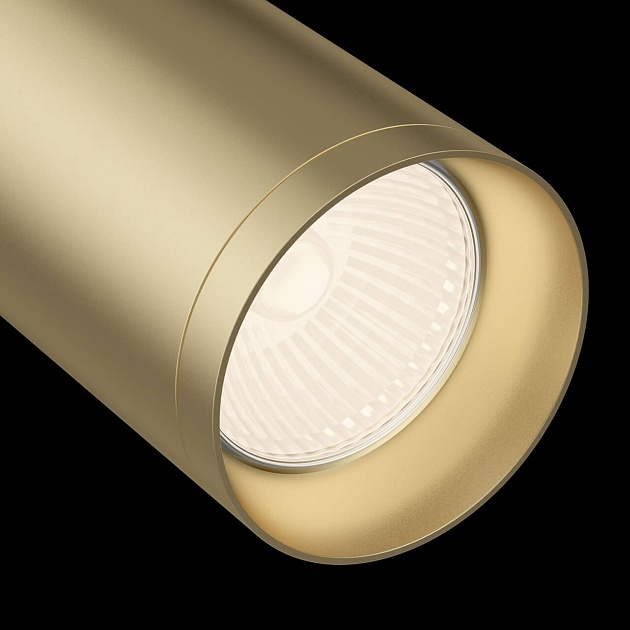 Трековый светильник Maytoni Track TR004-1-GU10-MG Фото № 4