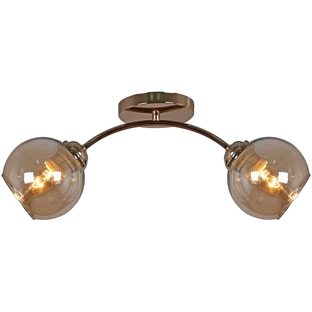 Потолочная люстра Reluce 01538-0.3-02 FGD Фото № 1